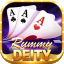 rummy free bonus icon